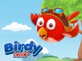Oyunu Birdy Drop