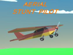 Hava Dublör Pilotu 