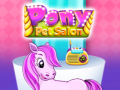 Oyunu Pony Pet Salon