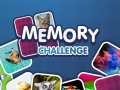 Oyunu Memory Challenge