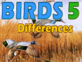 Oyunu Birds 5 Differences
