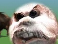 Oyunu Yeti bloody