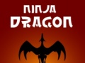 Oyunu Ninja Dragon