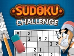 Sudoku Mücadelesi 