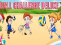 Oyunu Ball Challenge Deluxe