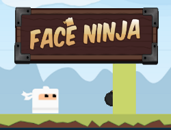 Ninja ile yüzleş 
