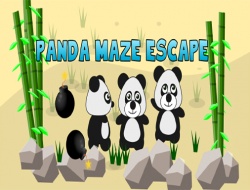 Panda labirent kaçış 