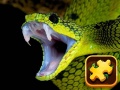 Oyunu Snake Puzzle Challenge