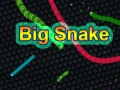 Oyunu Big Snake