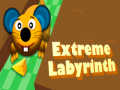 Oyunu Extreme Labyrinth