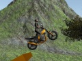 Oyunu Dirt Bike Rider