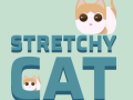 Oyunu Stretchy Cat
