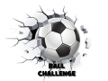 Oyunu Ball Challenge