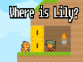 Oyunu Where is Lily?