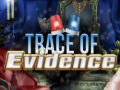 Oyunu Trace of Evidence