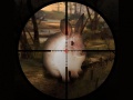 Oyunu Classical Rabbit Sniper Hunting 2019