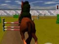 Oyunu Jumping Horse 3d