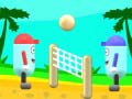 Oyunu Beach Volleyball