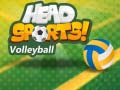 Oyunu Head Sports Volleyball