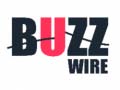 Oyunu Buzz Wire