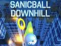 Oyunu Sanicball Downhill