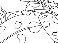 Oyunu Garden beetle