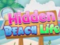 Oyunu Hidden Beach Life