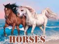Oyunu Horses