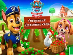 Paw Patrol Bahçe Kurtarma 
