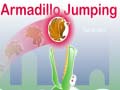 Oyunu Armadillo Jumping