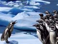 Oyunu Penguins Slide