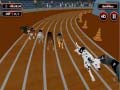 Oyunu Crazyl Dog Racing Fever