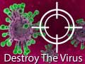 Oyunu Destroy The Virus