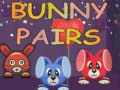 Oyunu Bunny Pairs