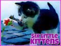 Oyunu Six Little Kittens