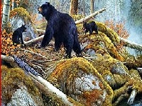 Oyunu Bears near the lake