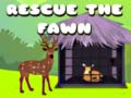 Oyunu Rescue the fawn