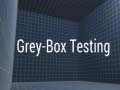 Oyunu Grey-Box Testing