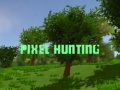 Oyunu Pixel Hunting