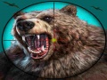 Oyunu Wild Bear Hunting