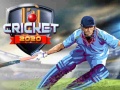 Oyunu Cricket 2020