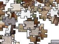 Oyunu Dromedary camel