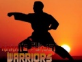 Oyunu Karate Sunset Warriors