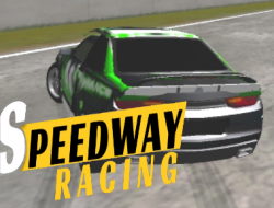 Speedway Yarışı 