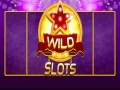 Oyunu Wild Slot