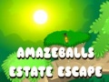 Oyunu Amazeballs Estate Escape
