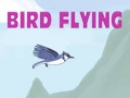 Oyunu Bird Flying