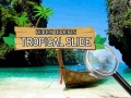 Oyunu Hidden Objects: Tropical Slide