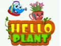 Oyunu Hello Plant 