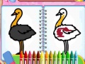 Oyunu Coloring Birds Game